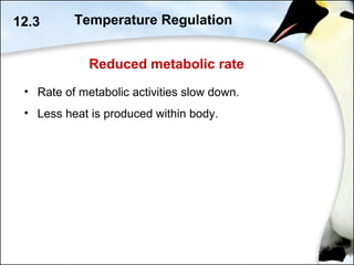 Reduced metabolic rate
12.3
• Rate of metabolic activities slow down.
• Less heat is produced within body.
Temperature Regulation
 