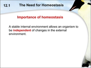 Importance of homeostasis
12.1 The Need for Homeostasis
A stable internal environment allows an organism to
be independent of changes in the external
environment.
 