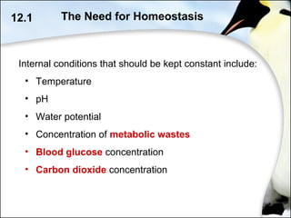 Internal conditions that should be kept constant include:
• Temperature
• pH
• Water potential
• Concentration of metabolic wastes
• Blood glucose concentration
• Carbon dioxide concentration
12.1 The Need for Homeostasis
 