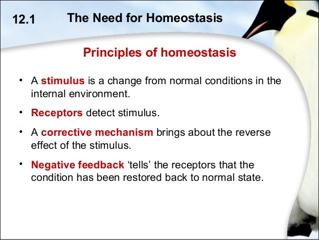 5094 homeostasis 2014