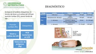 DIAGNÓSTICO
Se basa en el análisis citoquímico, la
tinción de Gram y el cultivo del LCR por
punción lumbar (PL), previo fondo de
ojo.
Punción
Lumbar (PL)
Citoquímica
•Gram y
cultivo de LCR
•PCR
bacterianas
en LCR
•Detección de
antígenos
(Ag)
 