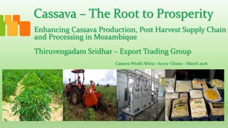 Cassava – The Root to Prosperity
Thiruvengadam Sridhar – Export Trading Group
Enhancing Cassava Production, Post Harvest Supply Chain
and Processing in Mozambique
Cassava World Africa– Accra- Ghana – March 2016
 