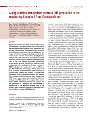 A single amino acid residue controls ROS production in the
respiratory Complex I from Escherichia coli
Juho Knuuti,1
Galina Belevich,1
Vivek Sharma,2
Dmitry A. Bloch1
* and Marina Verkhovskaya1
**
1
Helsinki Bioenergetics Group, Institute of
Biotechnology, University of Helsinki, PO Box 65
(Viikinkaari 1), FIN-00014, Helsinki, Finland.
2
Department of Physics, Tampere University of
Technology, P. O. Box 692, FIN-33101, Tampere,
Finland.
Summary
Reactive oxygen species (ROS) production by respira-
tory Complex I from Escherichia coli was studied in
bacterial membrane fragments and in the isolated and
puriﬁed enzyme, either solubilized or incorporated in
proteoliposomes. We found that the replacement of a
single amino acid residue in close proximity to the
nicotinamide adenine dinucleotide (NADH)-binding
catalytic site (E95 in the NuoF subunit) dramatically
increases the reactivity of Complex I towards dioxygen
(O2). In the E95Q variant short-chain ubiquinones
exhibit strong artiﬁcial one-electron reduction at the
catalytic site, also leading to a stronger increase in
ROS production. Two mechanisms can contribute to
the observed kinetic effects: (a) a change in the reac-
tivity of ﬂavin mononucleotide (FMN) towards di-
oxygen at the catalytic site, and (b) a change in the
population of the ROS-generating state. We propose
the existence of two (closed and open) states of the
NAD+
-bound enzyme as one feature of the substrate-
binding site of Complex I. The analysis of the kinetic
model of ROS production allowed us to propose that
the population of Complex I with reduced FMN is
always low in the wild-type enzyme even at low
ambient redox potentials, minimizing the rate of reac-
tion with O2 in contrast to E95Q variant.
Introduction
Complex I [nicotinamide adenine dinucleotide (NADH):qui-
none oxidoreductase, type I] catalyses electron input to the
respiratory chain. It uses NADH as a two-electron donor
and transfers these electrons to quinone (most often ubi-
quinone) via ﬂavin mono-nucleotide (FMN) and eight iron-
sulphur (FeS) clusters located in the hydrophilic domain of
the enzyme. Quinone reduction is coupled to translocation
of three to four protons across the inner mitochondrial
or bacterial cytoplasmic membrane (Wikström, 1984;
Hinkle et al., 1991; Galkin et al., 1999; 2006; Wikström and
Hummer, 2012). Complex I has also been suggested to be
one of the major sites of formation of superoxide by mito-
chondria (Turrens and Boveris, 1980; Galkin and Brandt,
2005; Kussmaul and Hirst, 2006), and has been therefore
linked to some neurodegenerative diseases and ageing
(Lin and Beal, 2006; Fukui and Moraes, 2008; Rhein et al.,
2009). Indeed, it was reported that Complex I is the major
site of superoxide formation in brain mitochondria under
normal conditions (Barja and Herrero, 1998), and that it
produces most of the reactive oxygen species (ROS) in
Parkinson’s disease and ageing (for a review see Turrens,
2003), although the relevance of superoxide formation
by Complex I under physiological conditions has been
questioned (Zoccarato et al., 2004; Grivennikova and
Vinogradov, 2006; Drechsel and Patel, 2010; Kareyeva
et al., 2012). The site of this ‘electron leak’ from Complex I
to O2 has been studied in different systems, ranging from
intact mitochondria (Treberg et al., 2011) to the isolated
enzyme (Kussmaul and Hirst, 2006; Ohnishi et al., 2010),
there are no deﬁnite conclusions as yet. Here, we have
studied ROS production by isolated and native membrane-
bound Complex I from Escherichia coli, with the aid of
site-speciﬁc mutations to alter vital electron transfer prop-
erties. Complex I contains non-covalently bound FMN,
which resides on the bottom of a cavity of the catalytic
subunit and is, therefore, accessible to oxygen from the
surroundings. FMN has a low midpoint redox potential
(Sled et al., 1993; Euro et al., 2008b), and has been pro-
posed to be the main site of O2
•−
generation in mitochon-
drial Complex I (Galkin and Brandt, 2005; Grivennikova
and Vinogradov, 2006; Kussmaul and Hirst, 2006).
However, the rates of ROS production by puriﬁed mito-
chondrial [16–22 nmol mg−1
min−1
(Galkin and Brandt,
2005; Kussmaul and Hirst, 2006; Kareyeva et al., 2012)],
and bacterial [25–50 nmol mg−1
min−1
(Esterhazy et al.,
2008; this article)] Complex I, are very slow compared
to the NADH oxidation rates. Furthermore, some other
NADH-dependent ﬂavin-containing enzymes, such as
Accepted 3 October, 2013. For correspondence. *E-mail dmitry
.bloch@helsinki.ﬁ; Tel. (+358) 9 191 59754; Fax (+358) 9 191 59920;
**E-mail marina.verkhovskaya@helsinki.ﬁ; Tel. (+358) 9 191 59748;
Fax (+358) 9 191 59920.
Molecular Microbiology (2013) 90(6), 1190–1200 ■ doi:10.1111/mmi.12424
First published online 29 October 2013
© 2013 John Wiley & Sons Ltd
 
