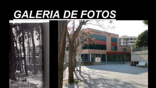 GALERIA DE FOTOS
 