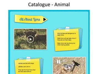 Catalogue - Animal
 