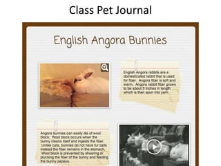 Class Pet Journal
 