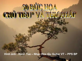 Hình ảnh : Hanh Tue – Nhạc Hòa tấu Guitar VT – PPS BP
 