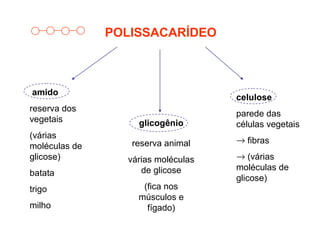 POLISSACARÍDEO
celulose
parede das
células vegetais
→ fibras
→ (várias
moléculas de
glicose)
glicogênio
reserva animal
várias moléculas
de glicose
(fica nos
músculos e
fígado)
amido
reserva dos
vegetais
(várias
moléculas de
glicose)
batata
trigo
milho
 