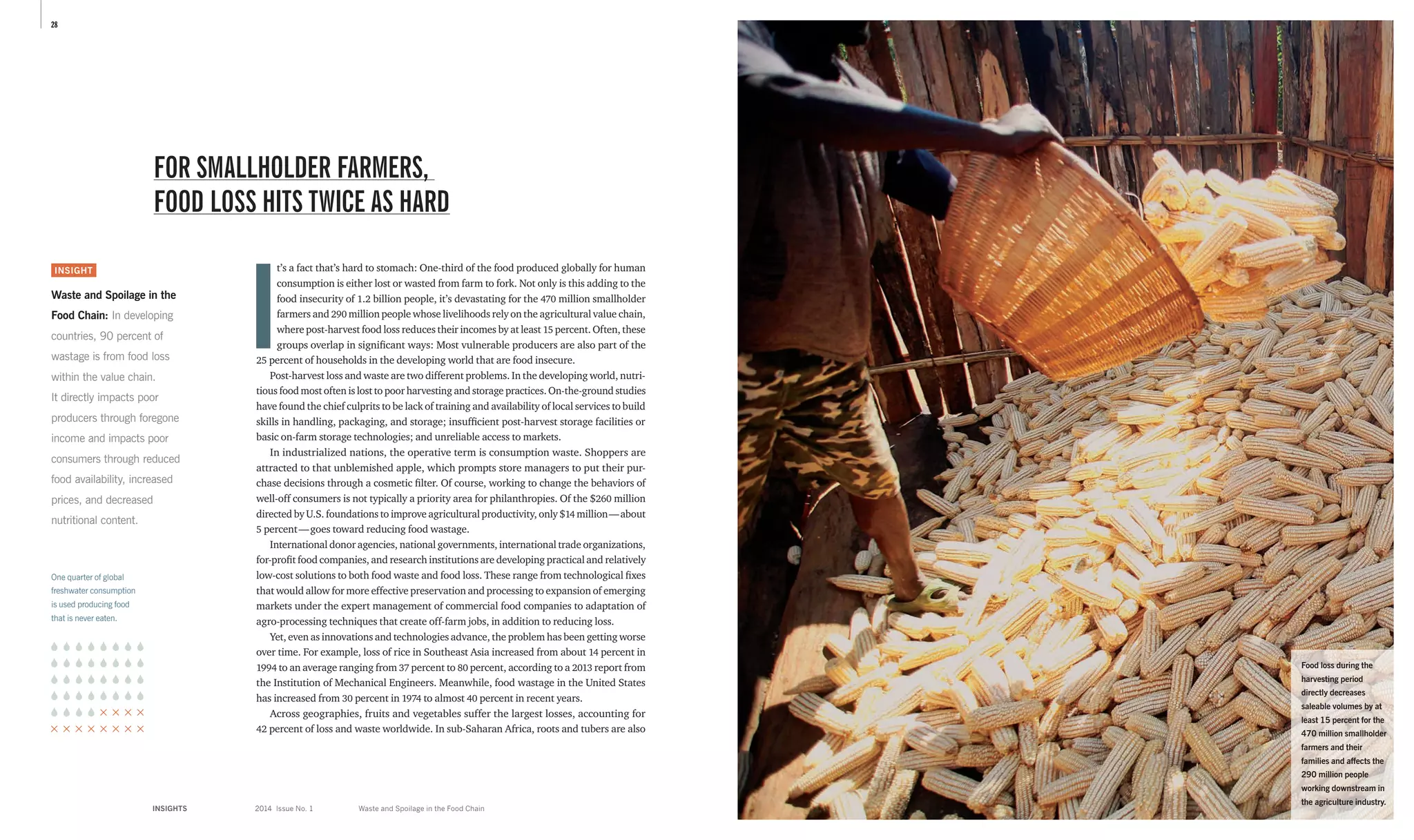 28
INSIGHTS	 2014 Issue No. 1
I
t’s a fact that’s hard to stomach: One-third of the food produced globally for human
consumption is either lost or wasted from farm to fork. Not only is this adding to the
food insecurity of 1.2 billion people, it’s devastating for the 470 million smallholder
farmers and 290 million people whose livelihoods rely on the agricultural value chain,
where post-harvest food loss reduces their incomes by at least 15 percent. Often, these
groups overlap in significant ways: Most vulnerable producers are also part of the
25 percent of households in the developing world that are food insecure.
Post-harvest loss and waste are two different problems. In the developing world, nutri-
tious food most often is lost to poor harvesting and storage practices. On-the-ground studies
have found the chief culprits to be lack of training and availability of local services to build
skills in handling, packaging, and storage; insufficient post-harvest storage facilities or
basic on-farm storage technologies; and unreliable access to markets.
In industrialized nations, the operative term is consumption waste. Shoppers are
attracted to that unblemished apple, which prompts store managers to put their pur-
chase decisions through a cosmetic filter. Of course, working to change the behaviors of
well-off consumers is not typically a priority area for philanthropies. Of the $260 million
directed by U.S. foundations to improve agricultural productivity, only $14 million — about
­5 ­percent — goes toward reducing food wastage.
International donor agencies, national governments, international trade organizations,
for-profit food companies, and research institutions are developing practical and relatively
low-cost solutions to both food waste and food loss. These range from technological fixes
that would allow for more effective preservation and processing to expansion of emerging
markets under the expert management of commercial food companies to adaptation of
agro-processing techniques that create off-farm jobs, in addition to reducing loss.
Yet, even as innovations and technologies advance, the problem has been getting worse
over time. For example, loss of rice in Southeast Asia increased from about 14 percent in
1994 to an average ranging from 37 percent to 80 percent, according to a 2013 report from
the Institution of Mechanical Engineers. Meanwhile, food wastage in the United States
has increased from 30 percent in 1974 to almost 40 percent in recent years.
Across geographies, fruits and vegetables suffer the largest losses, accounting for
42 percent of loss and waste worldwide. In sub-Saharan Africa, roots and tubers are also
INSIGHT
Waste and Spoilage in the
Food Chain: In developing
countries, 90 percent of
wastage is from food loss
within the value chain.
It directly impacts poor
producers through fore­gone
income and impacts poor
consumers through reduced
food availability, increased
prices, and decreased
nutritional content.
Waste and Spoilage in the Food Chain
FOR SMALLHOLDER FARMERS,
FOOD LOSS HITS TWICE AS HARD
Food loss during the
harvesting period
directly decreases
saleable volumes by at
least 15 percent for the
470 million smallholder
farmers and their
families and affects the
290 million people
working downstream in
the agriculture industry.
One quarter of global
freshwater consumption
is used producing food
that is never eaten.
 