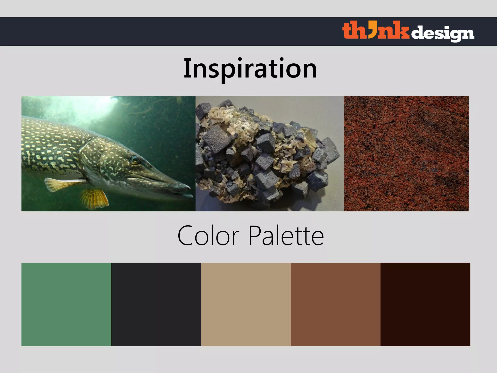 Color Palette
Inspiration
 
