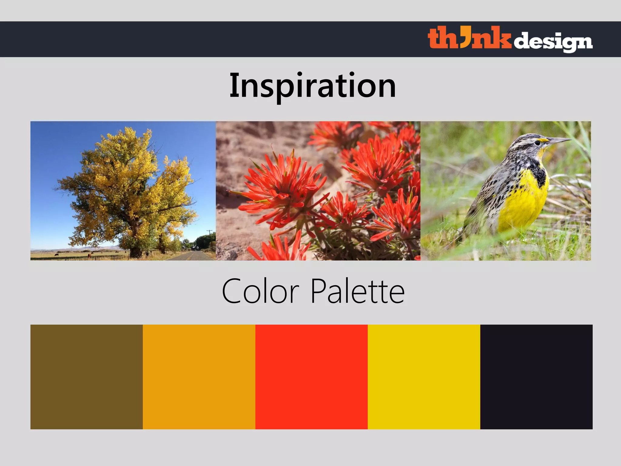 Color Palette
Inspiration
 