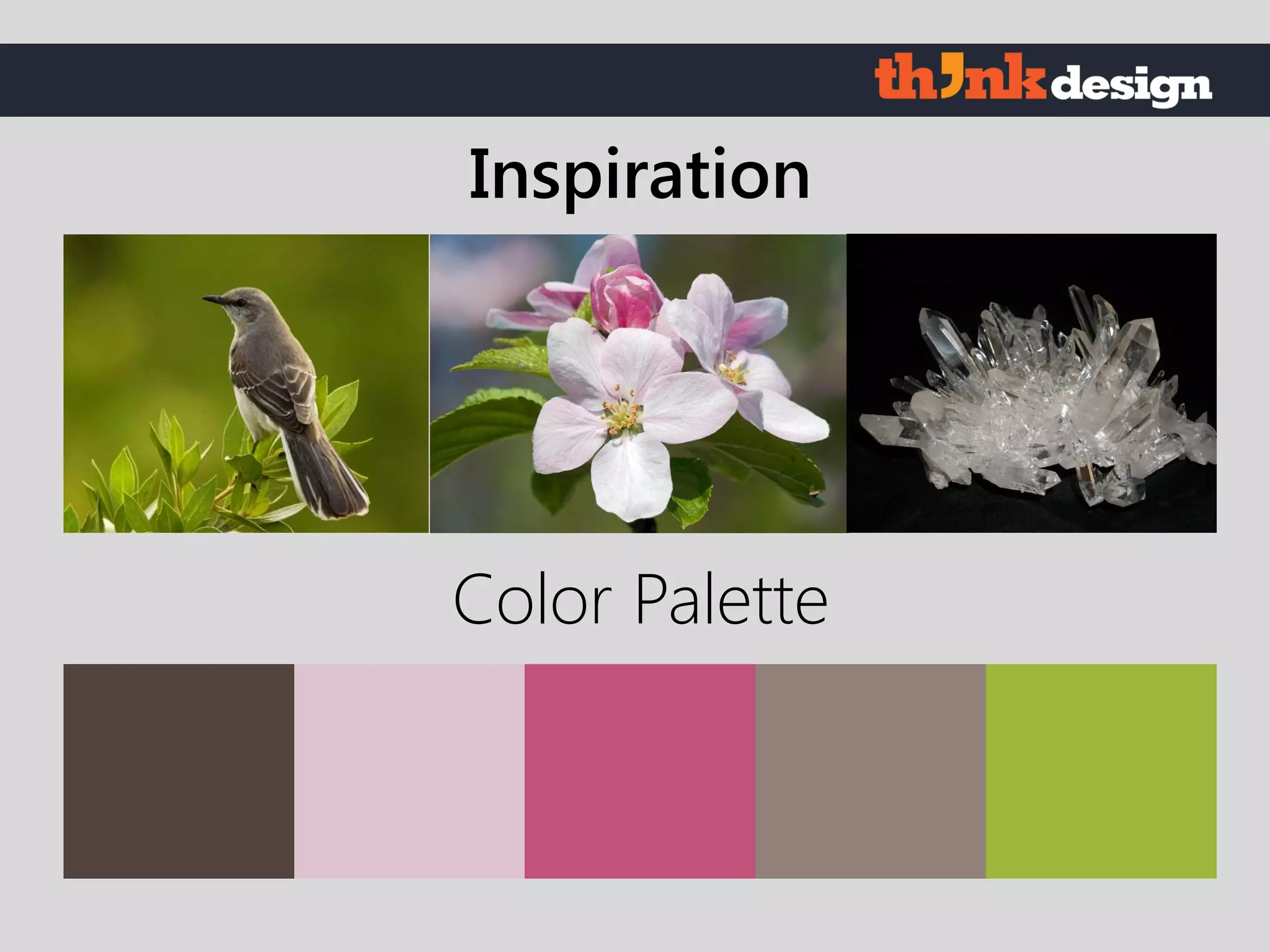 Color Palette
Inspiration
 