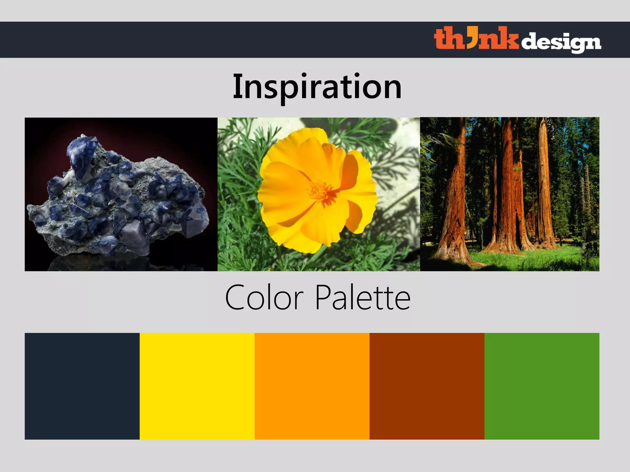 Color Palette
Inspiration
 