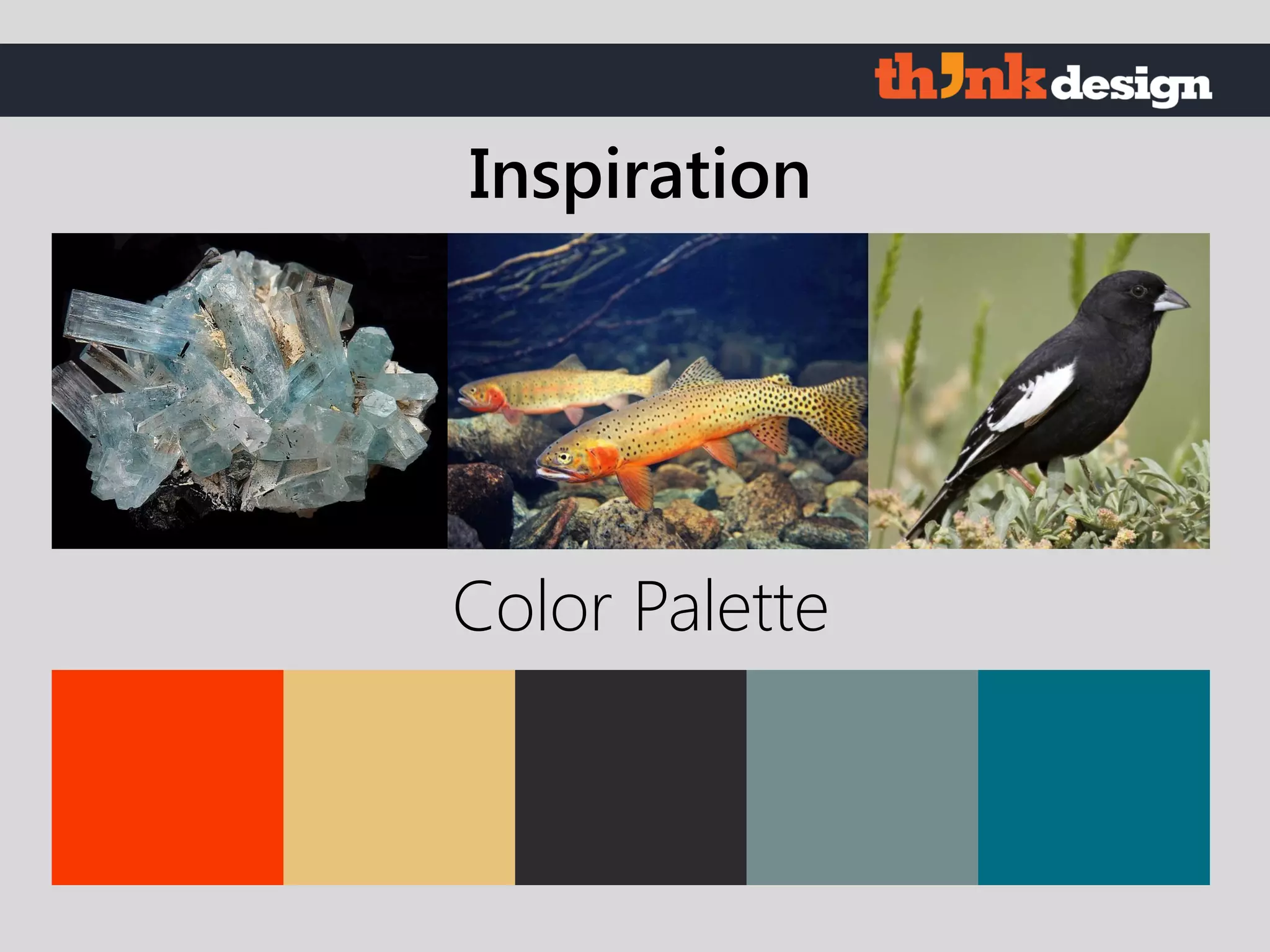 Color Palette
Inspiration
 