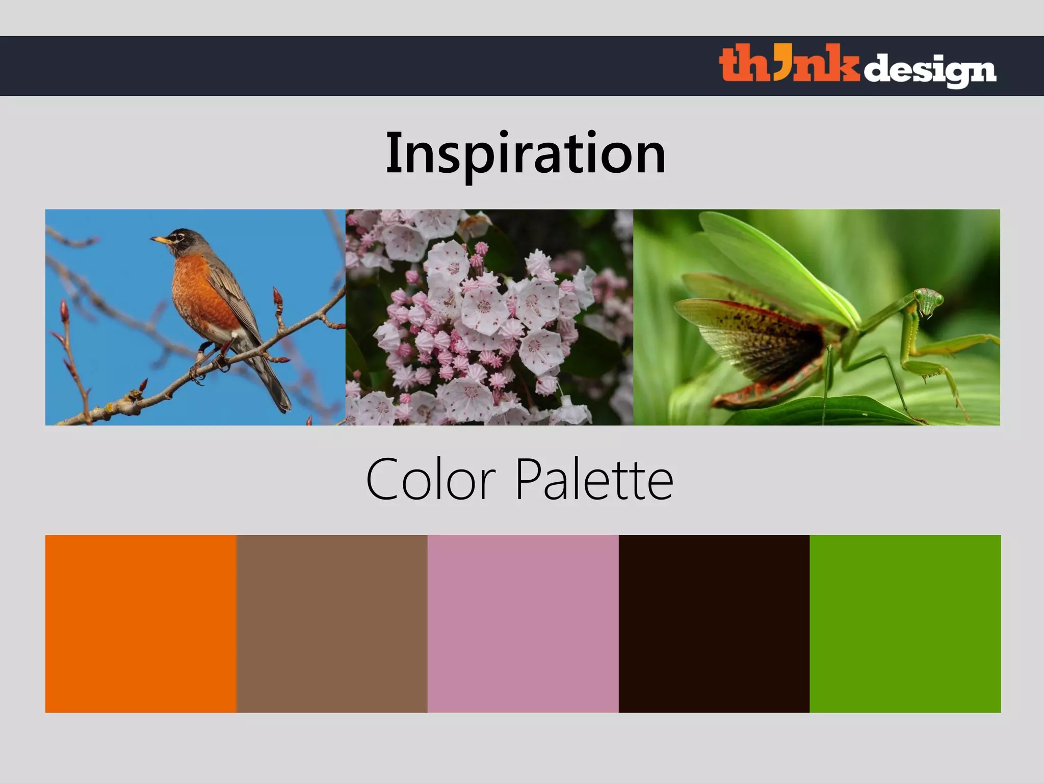 Color Palette
Inspiration
 