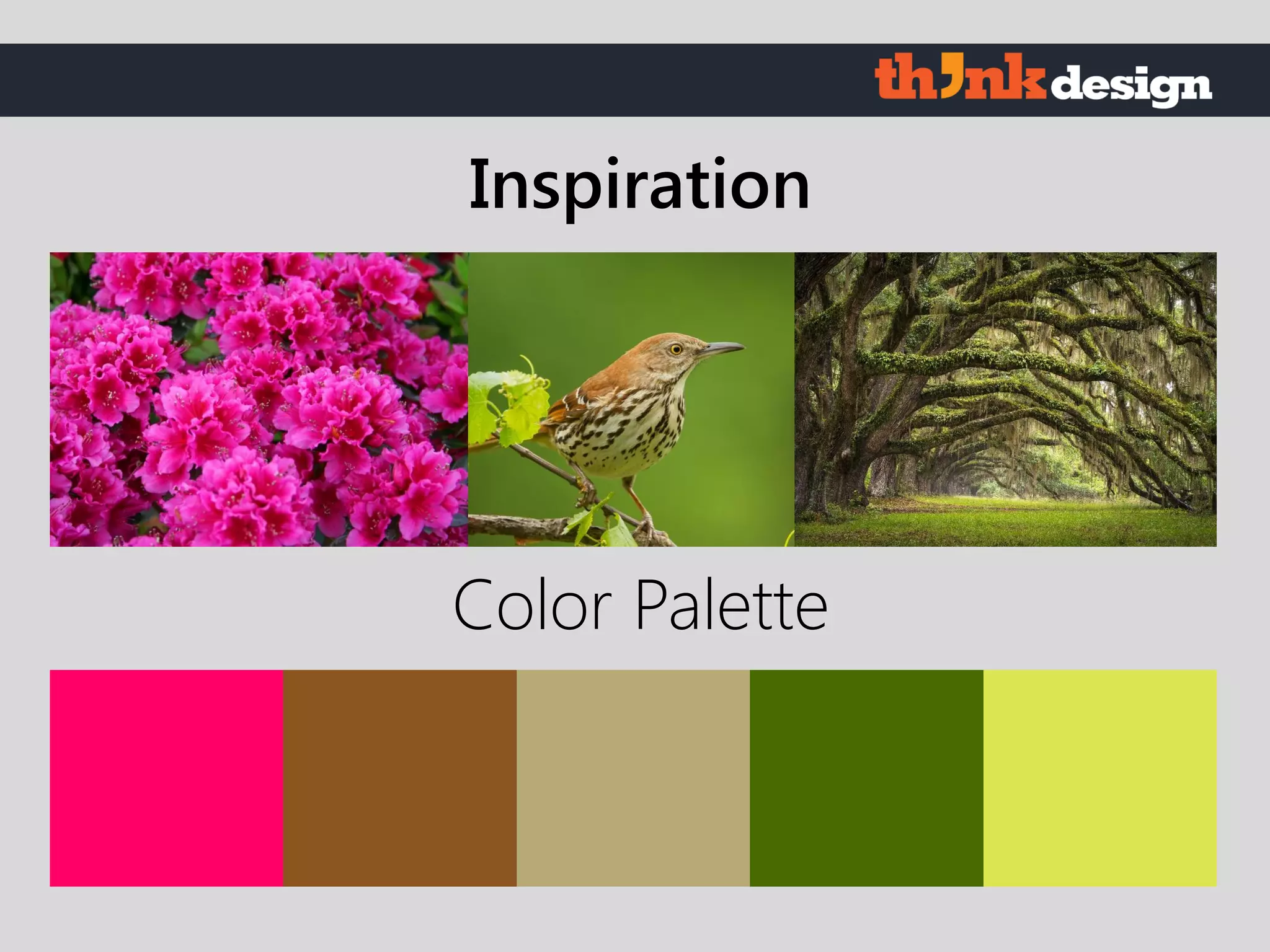 Color Palette
Inspiration
 