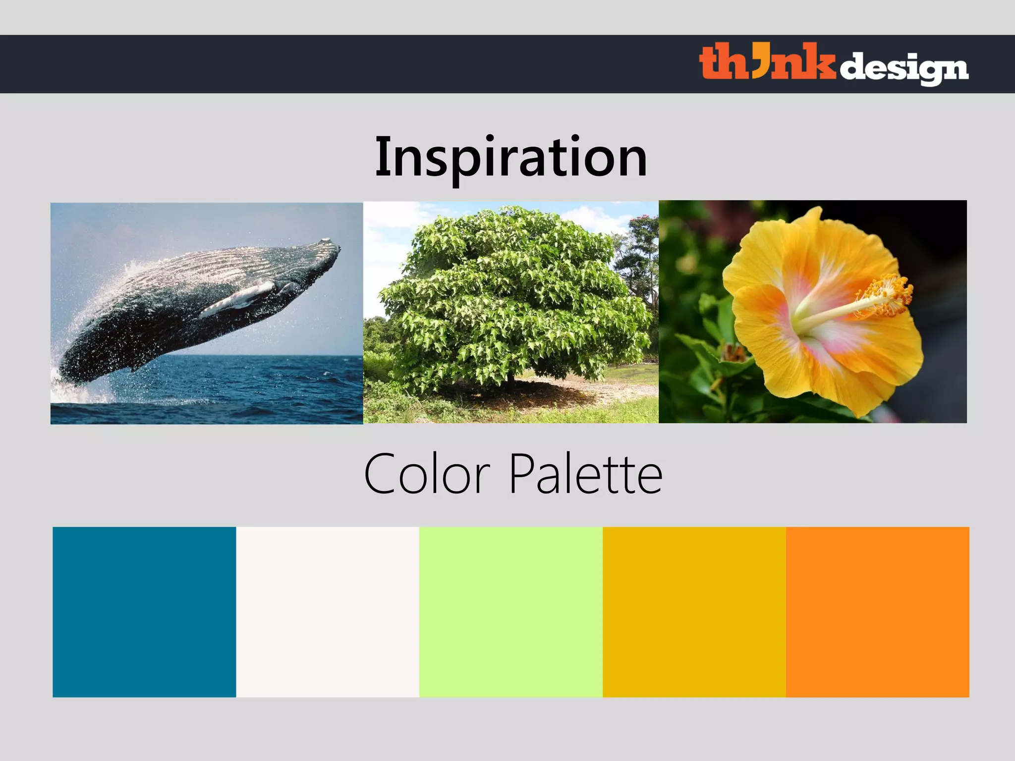 Color Palette
Inspiration
 