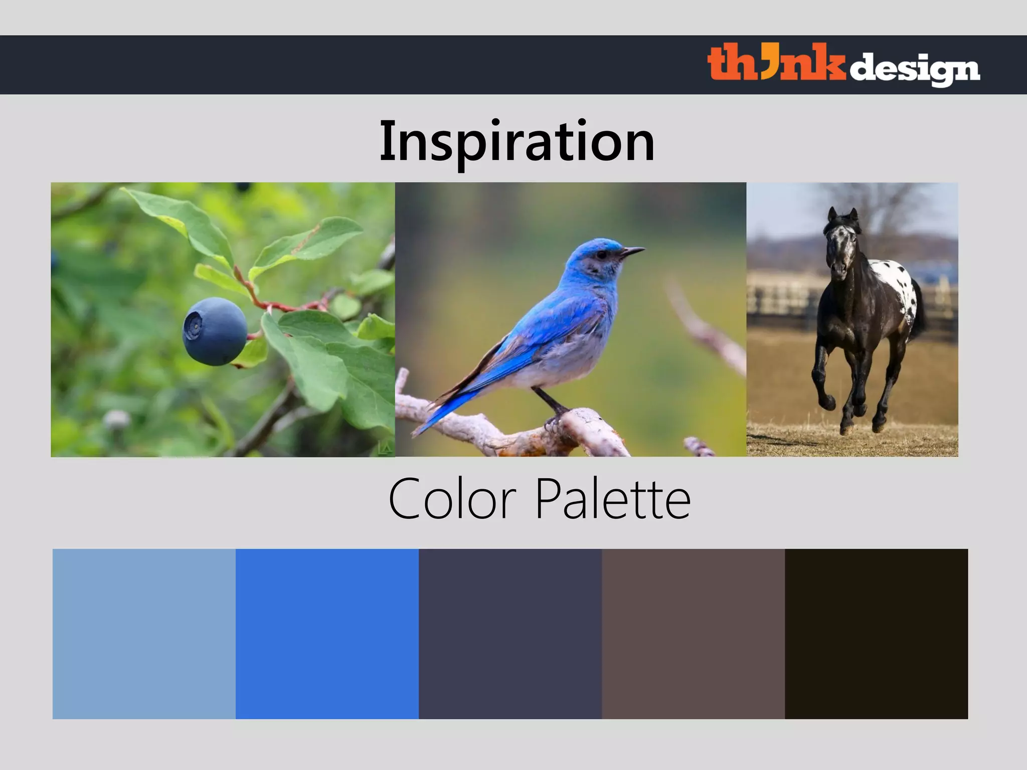 Color Palette
Inspiration
 