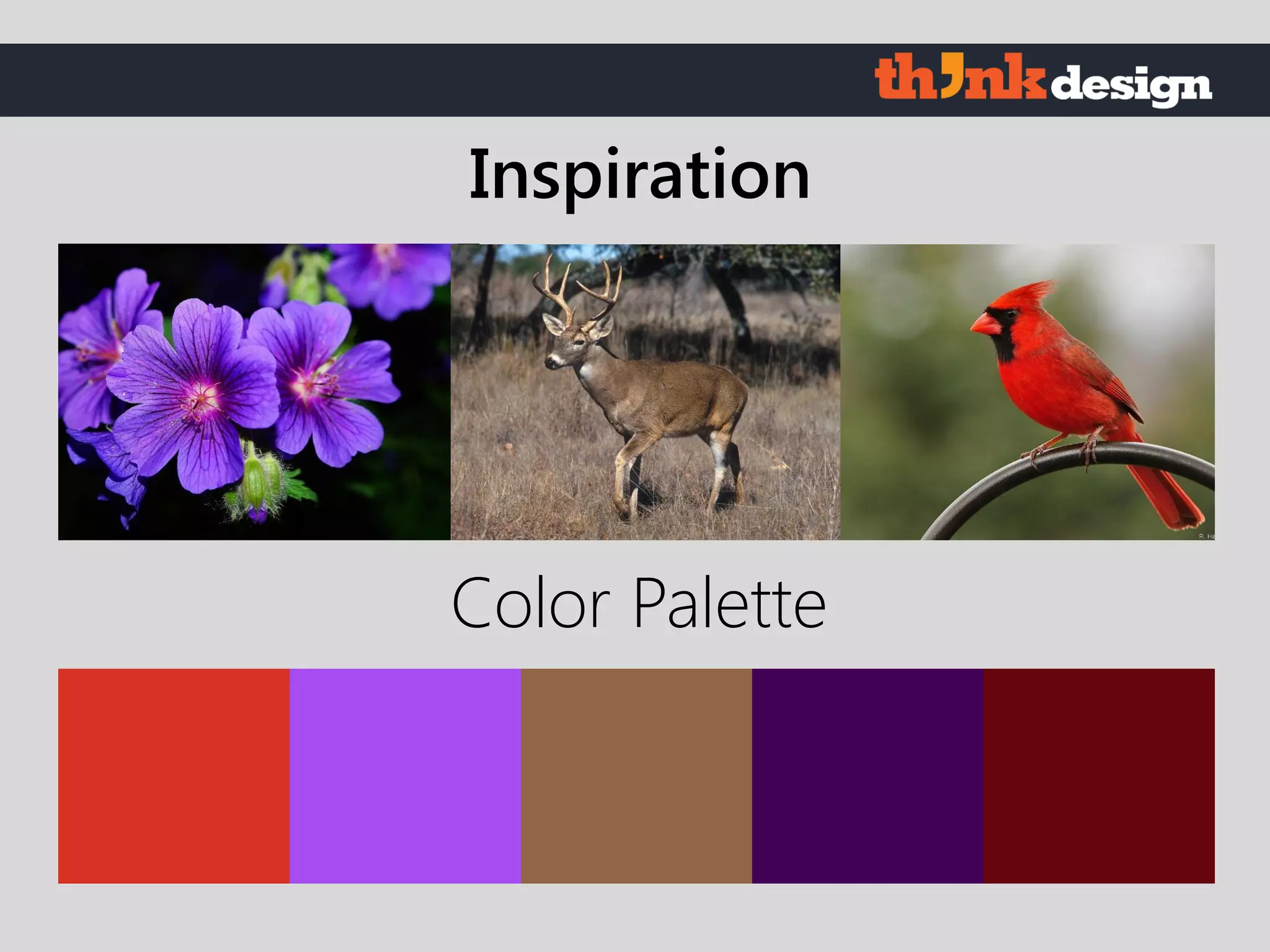 Color Palette
Inspiration
 