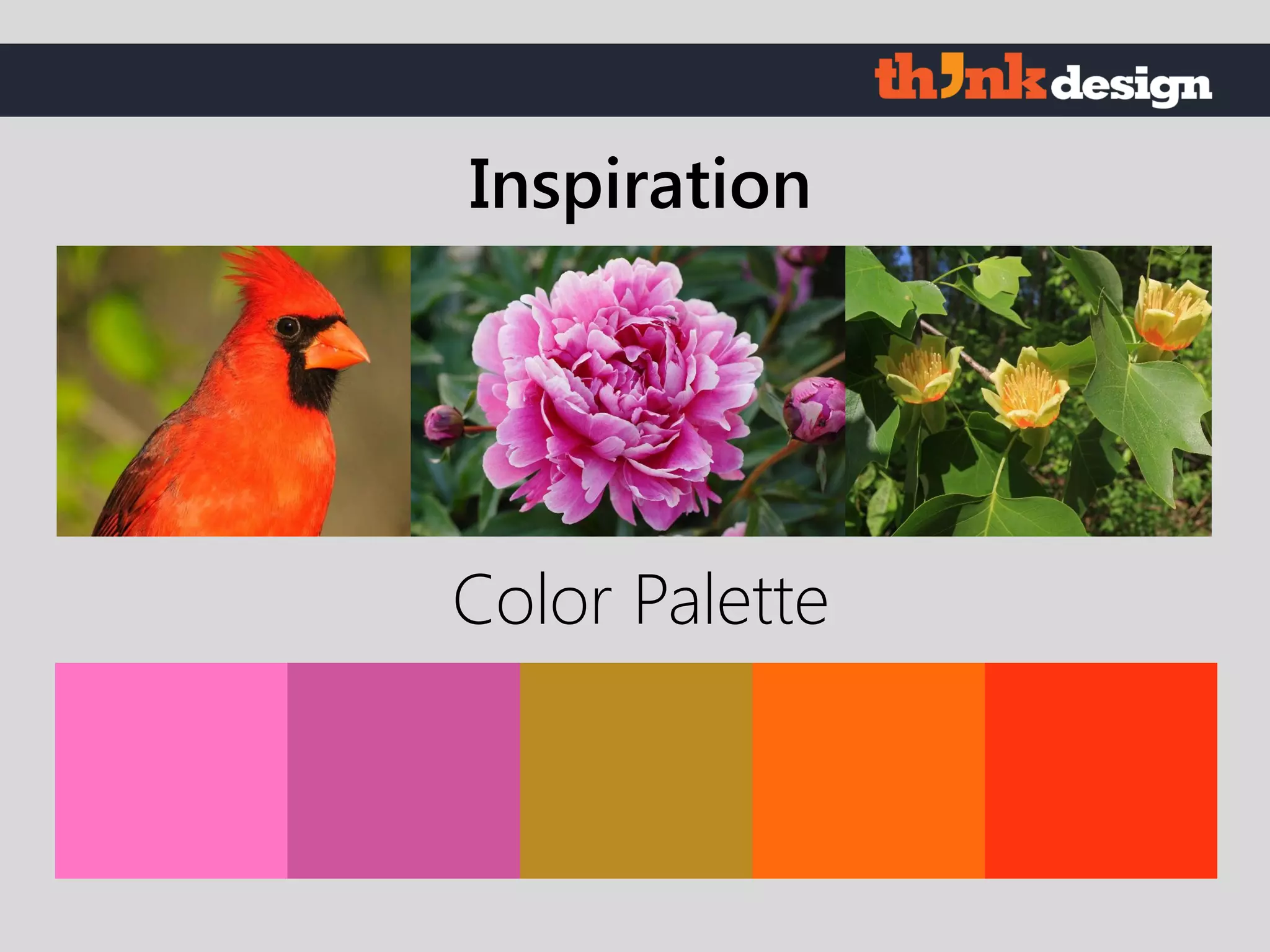 Color Palette
Inspiration
 