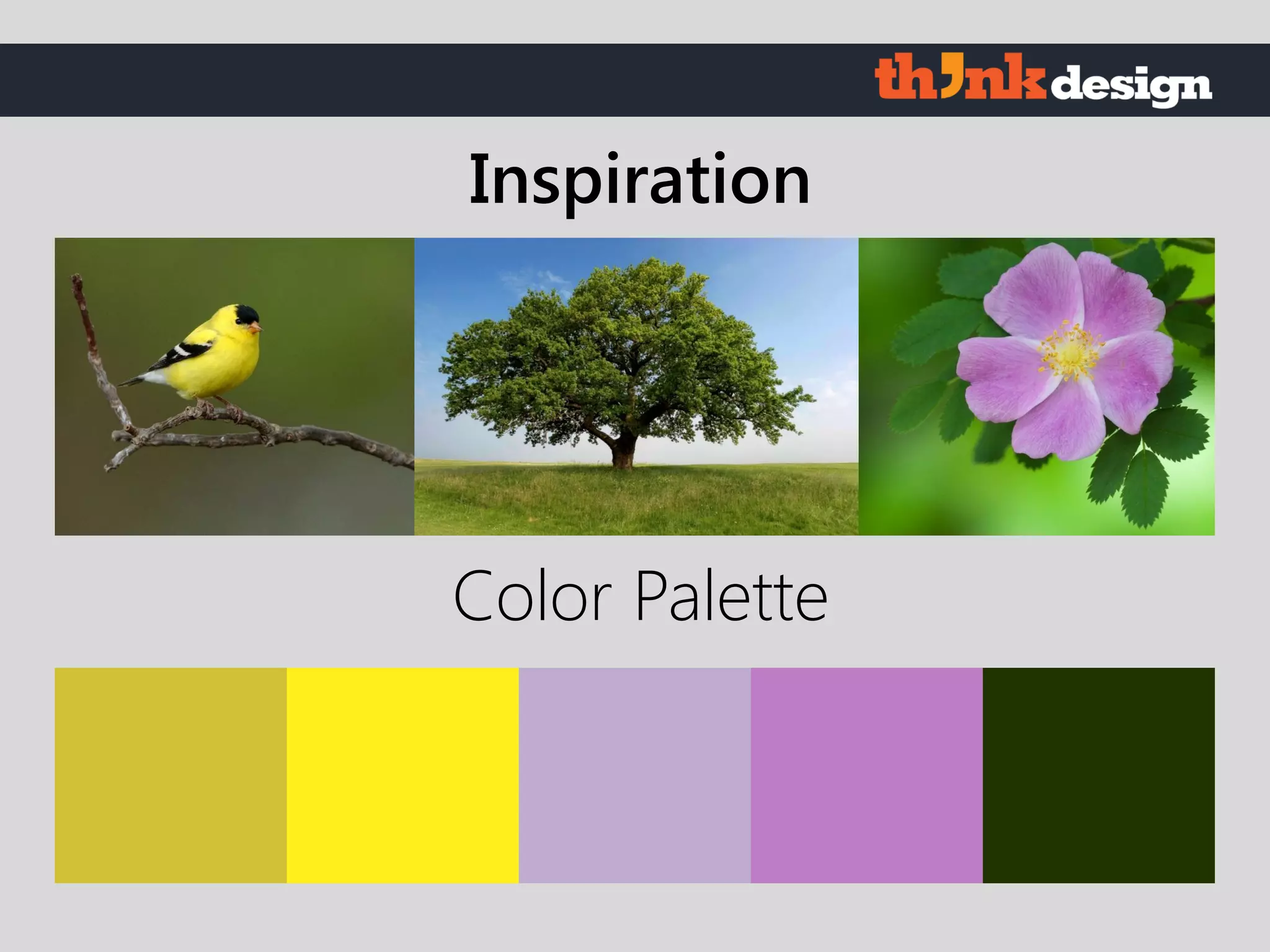 Color Palette
Inspiration
 