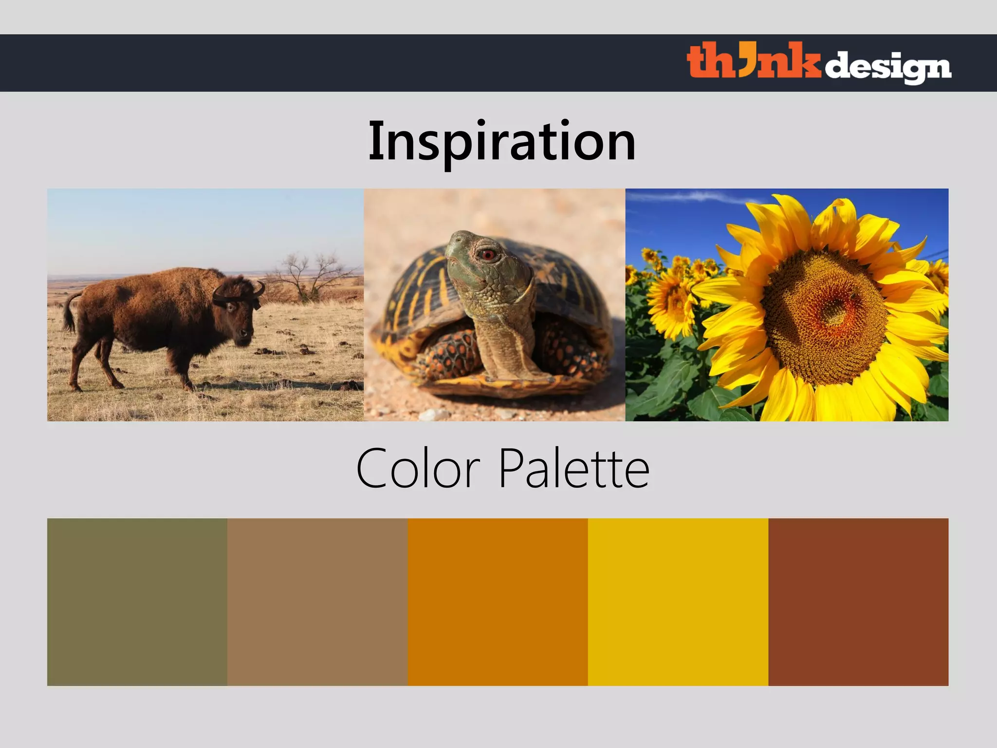Color Palette
Inspiration
 