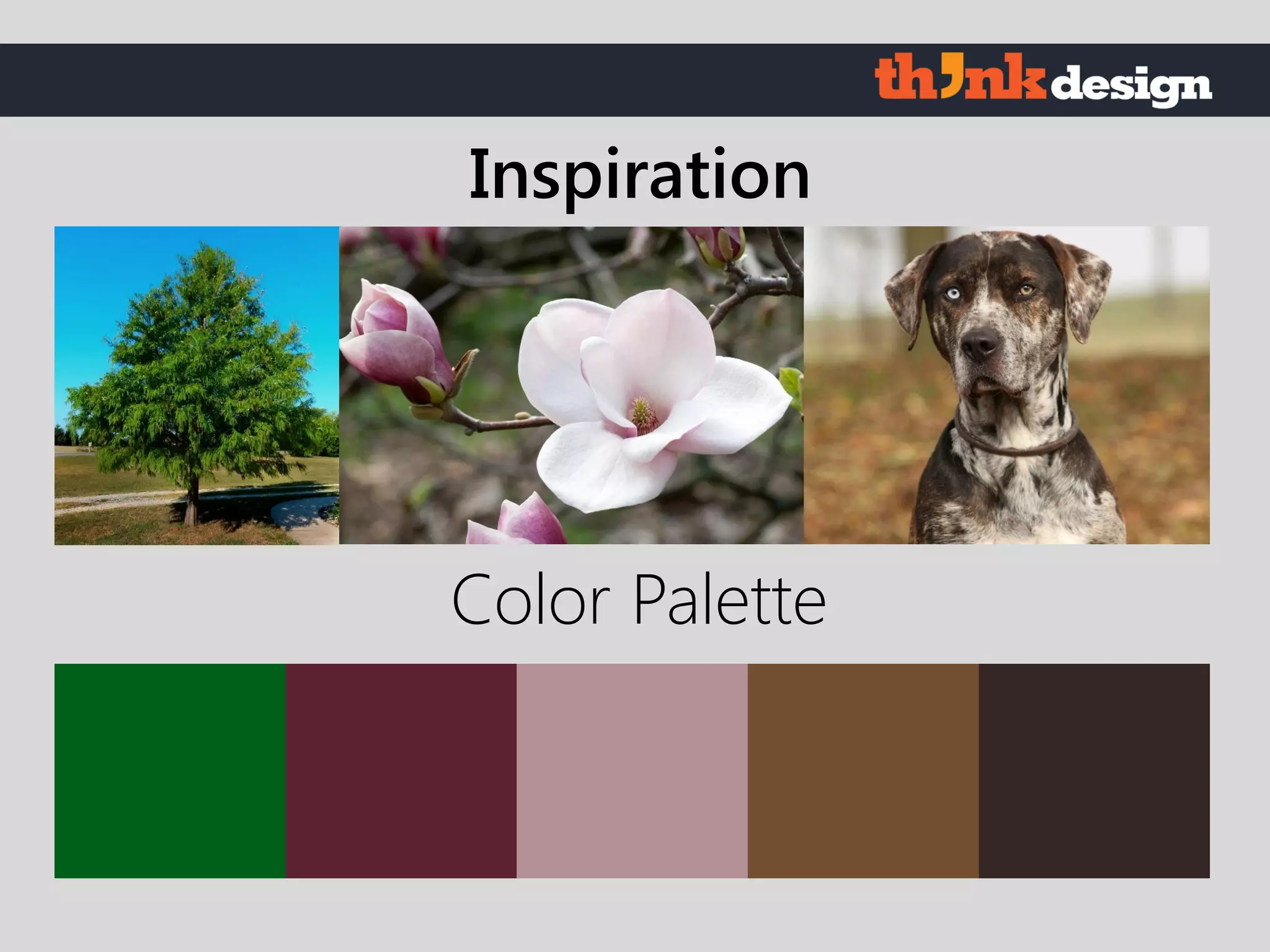 Color Palette
Inspiration
 