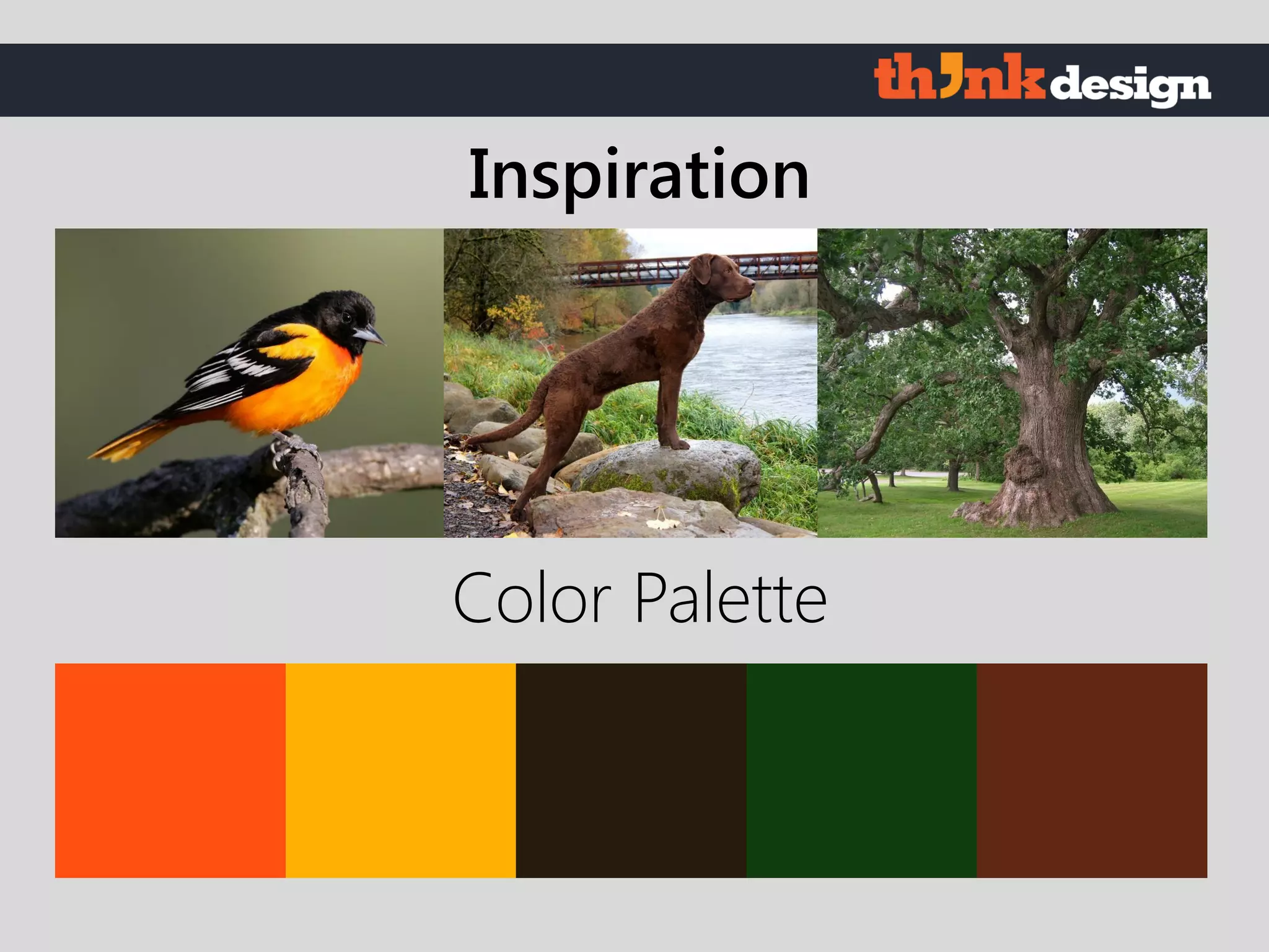 Color Palette
Inspiration
 