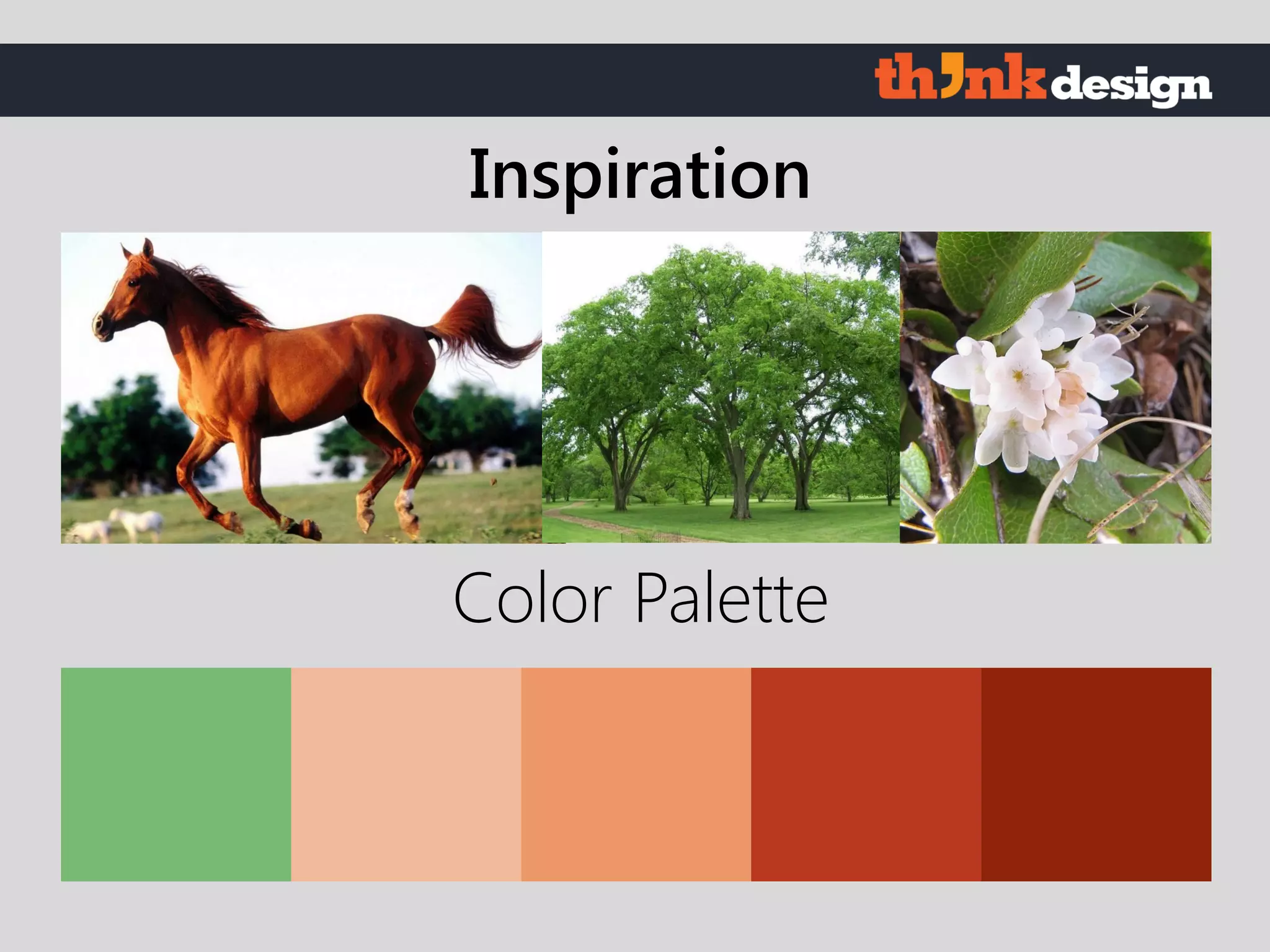 Color Palette
Inspiration
 