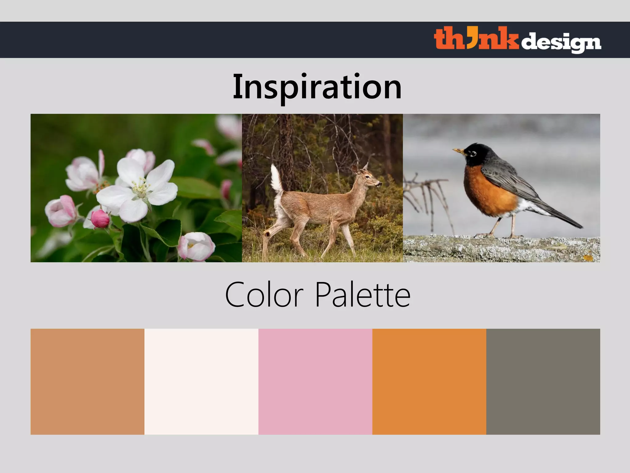 Color Palette
Inspiration
 