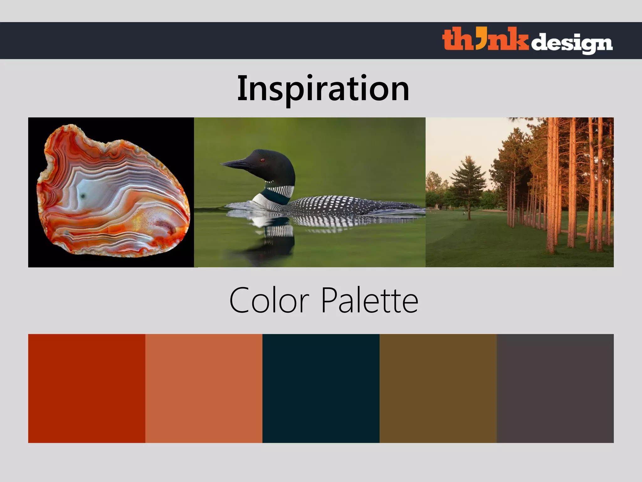 Color Palette
Inspiration
 