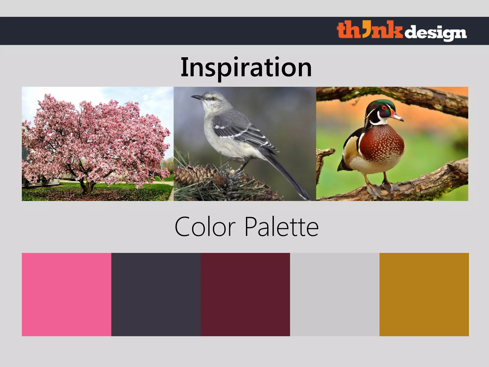 Color Palette
Inspiration
 