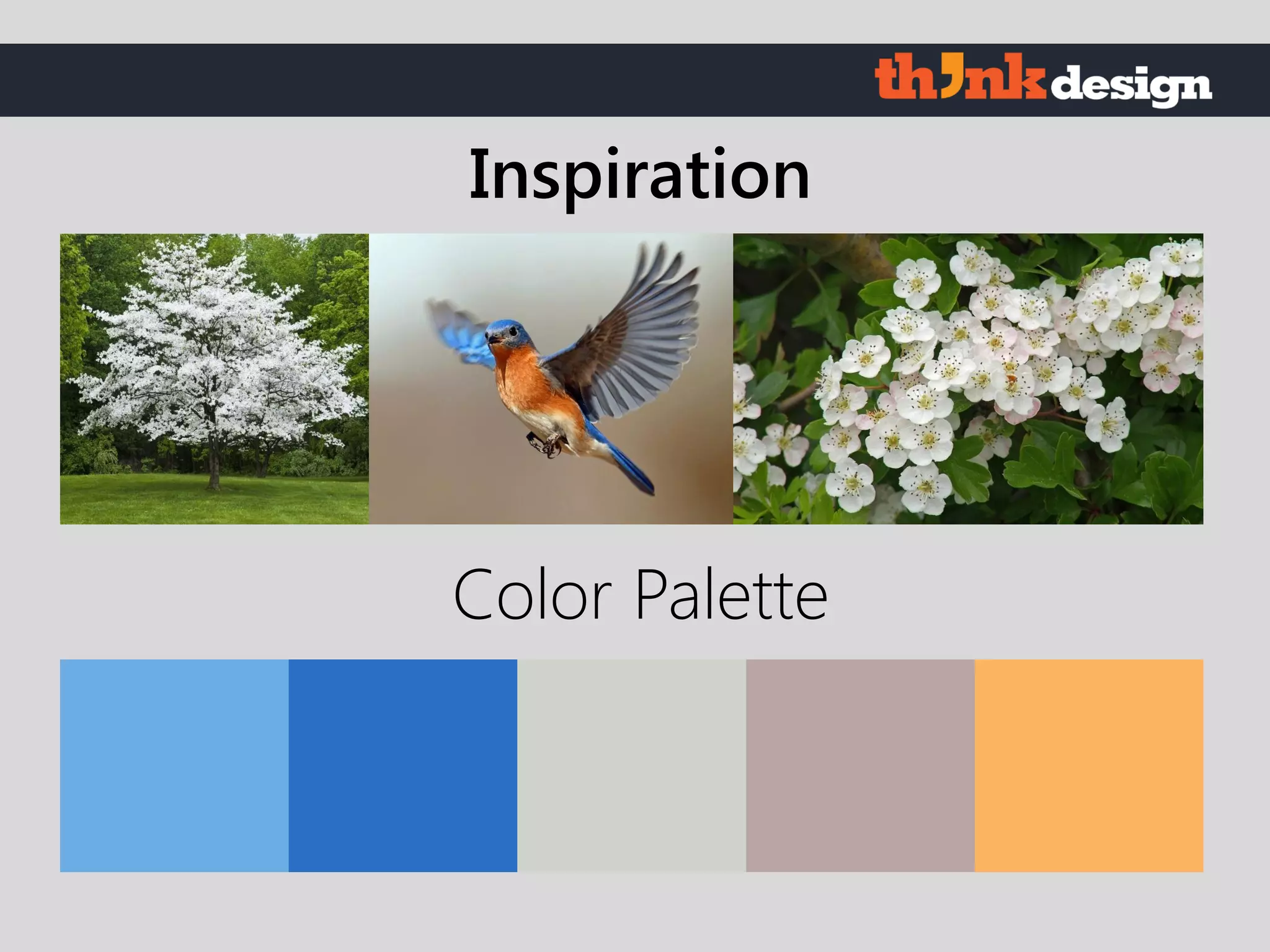 Color Palette
Inspiration
 