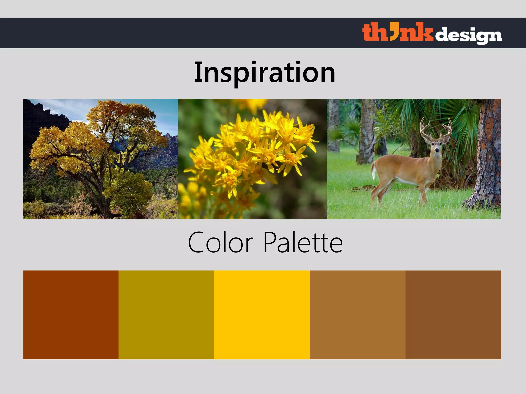 Color Palette
Inspiration
 