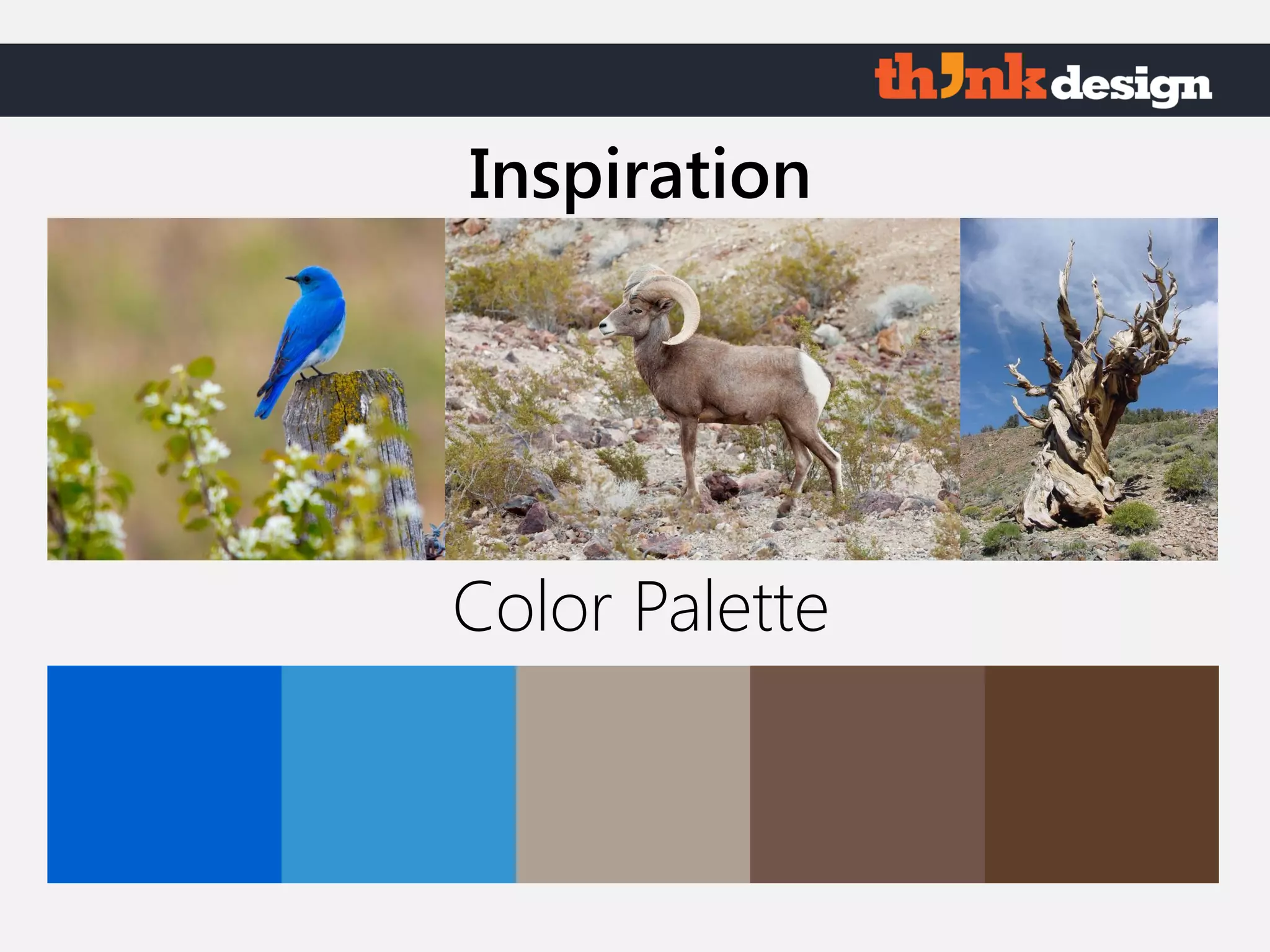 Color Palette
Inspiration
 