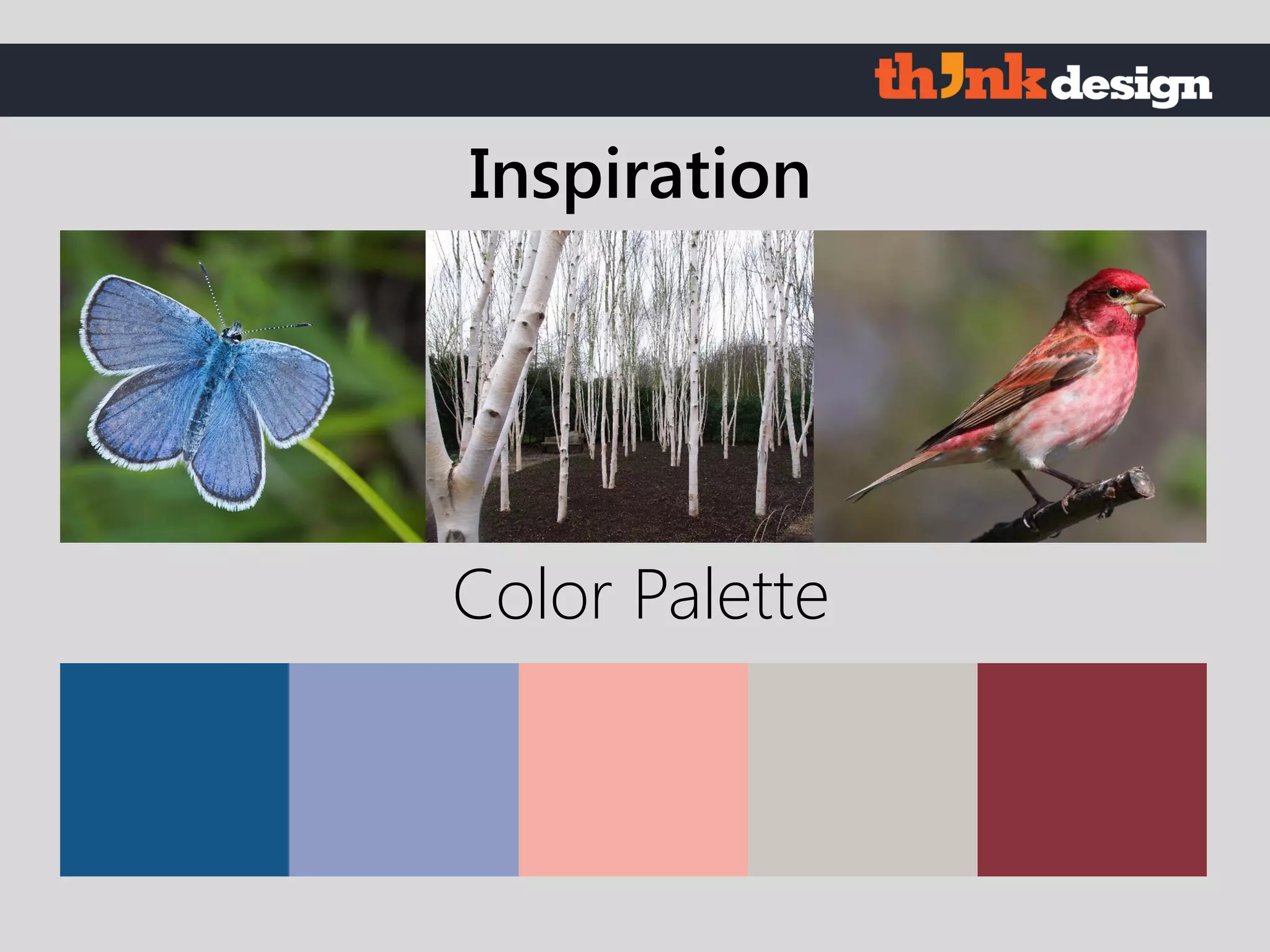 Color Palette
Inspiration
 