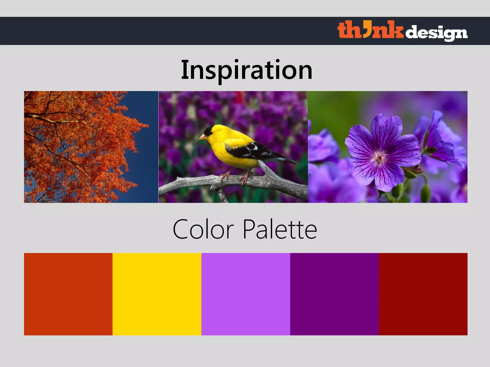 Color Palette
Inspiration
 