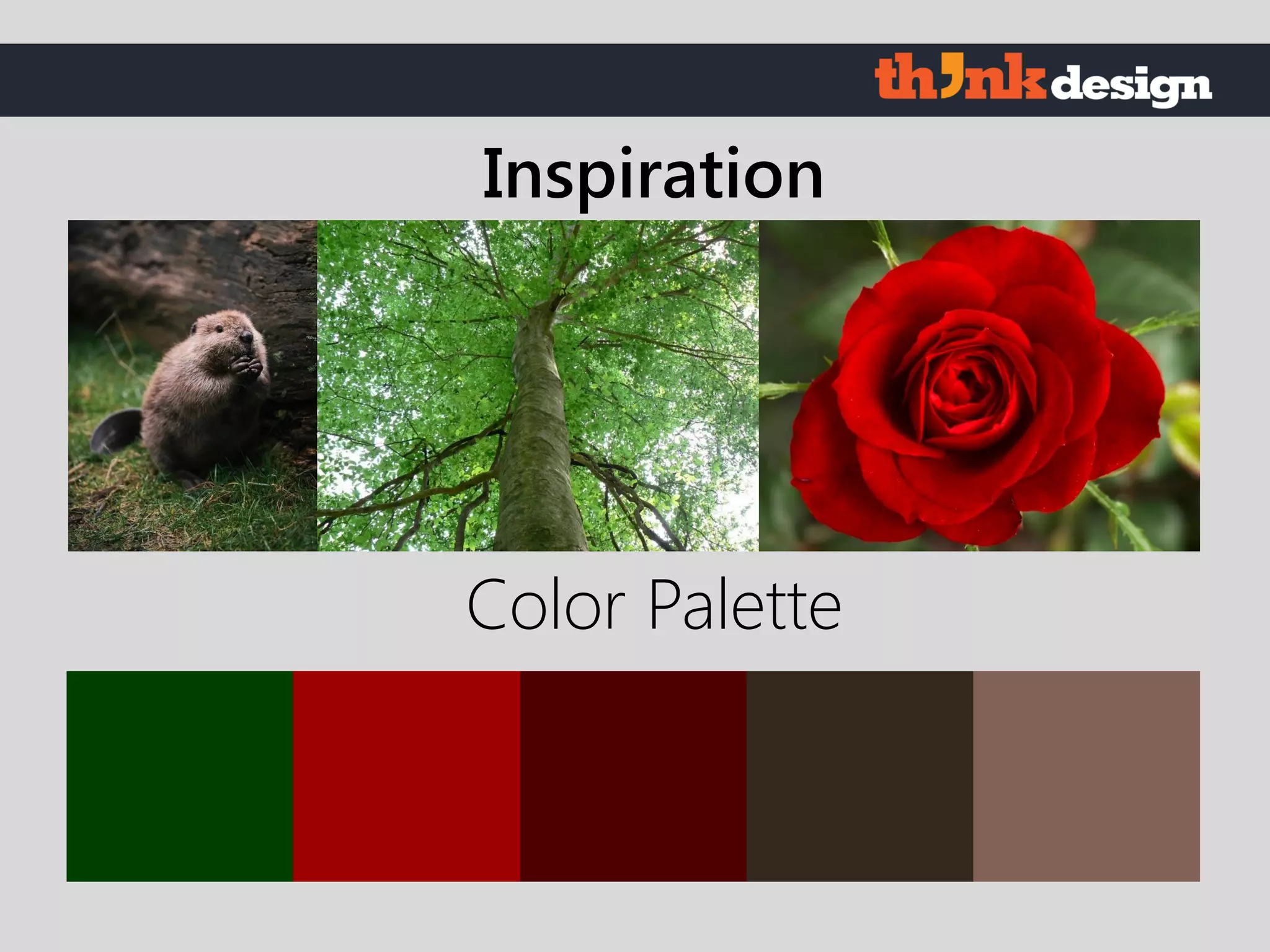 Color Palette
Inspiration
 