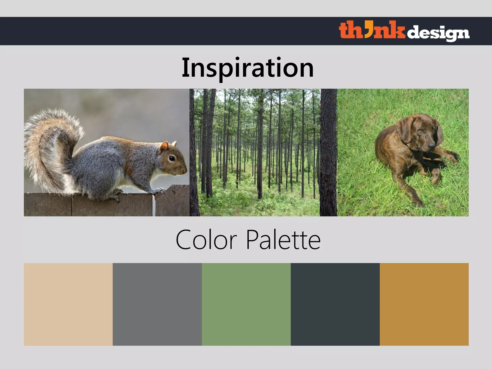 Color Palette
Inspiration
 