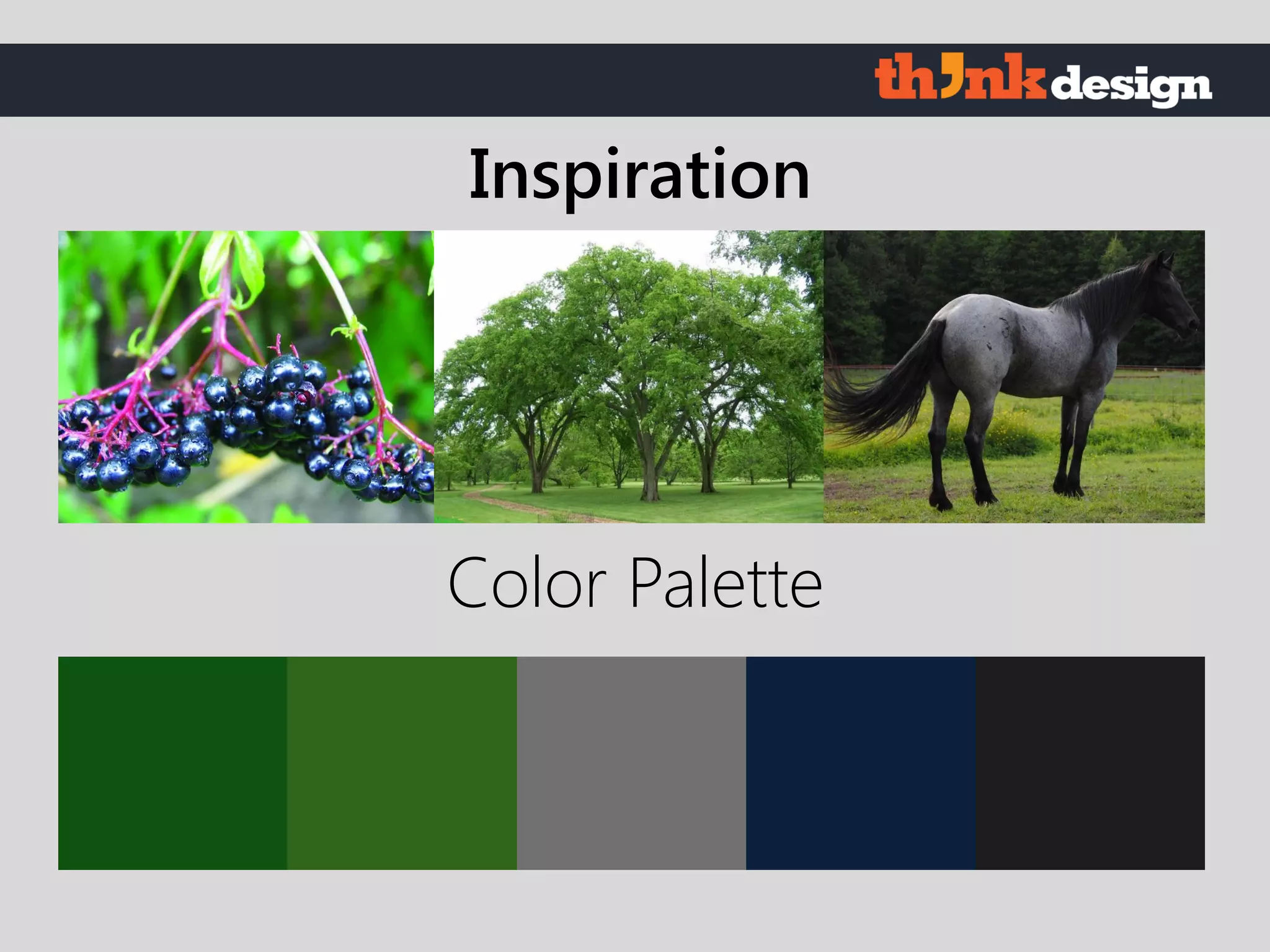 Color Palette
Inspiration
 