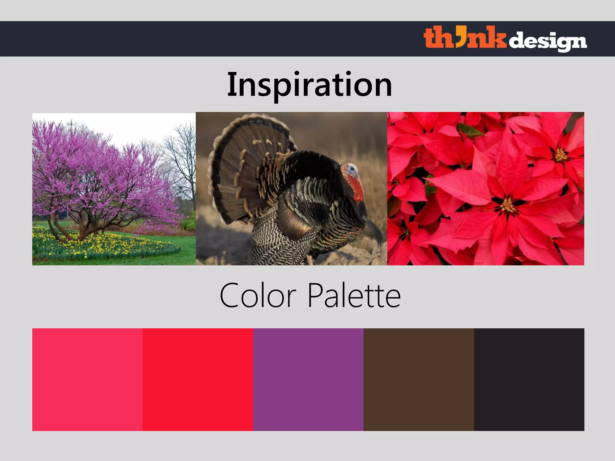 Color Palette
Inspiration
 