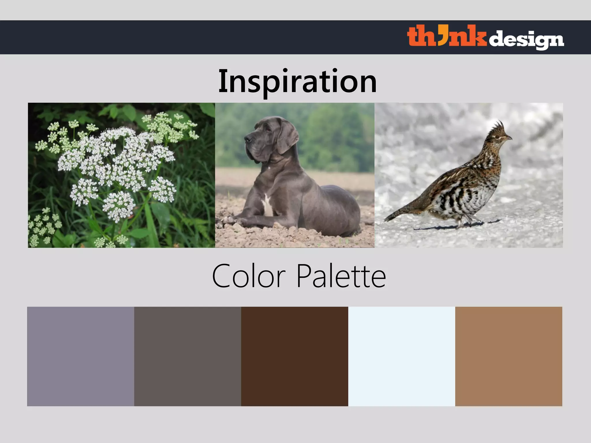 Color Palette
Inspiration
 