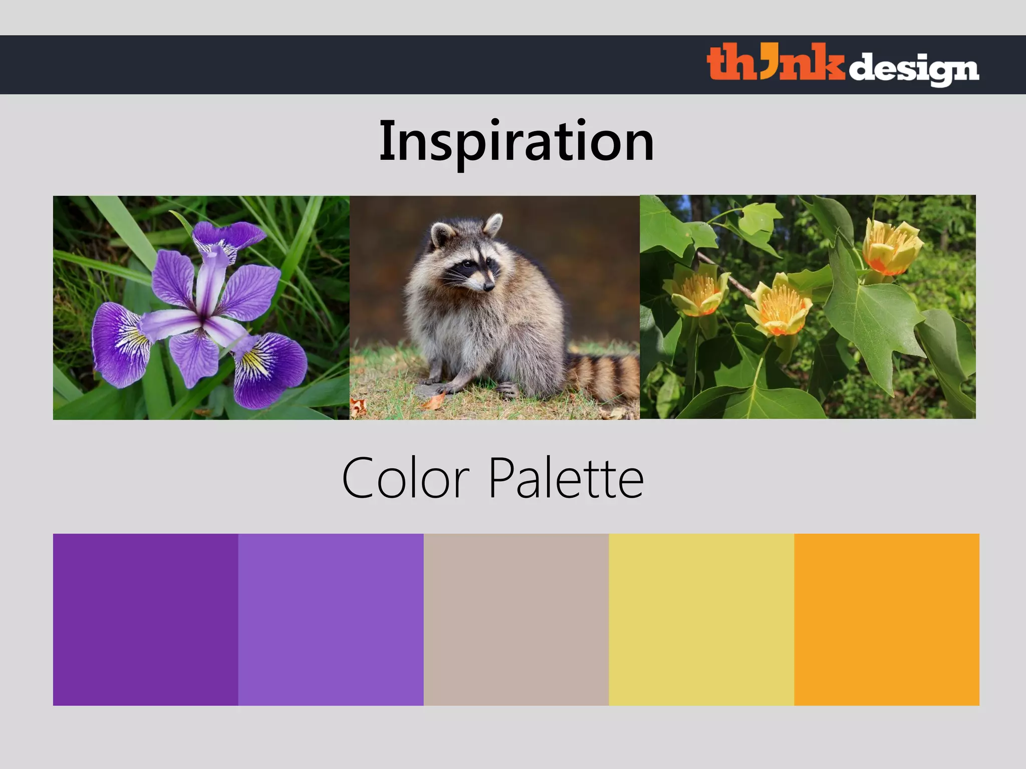 Color Palette
Inspiration
 