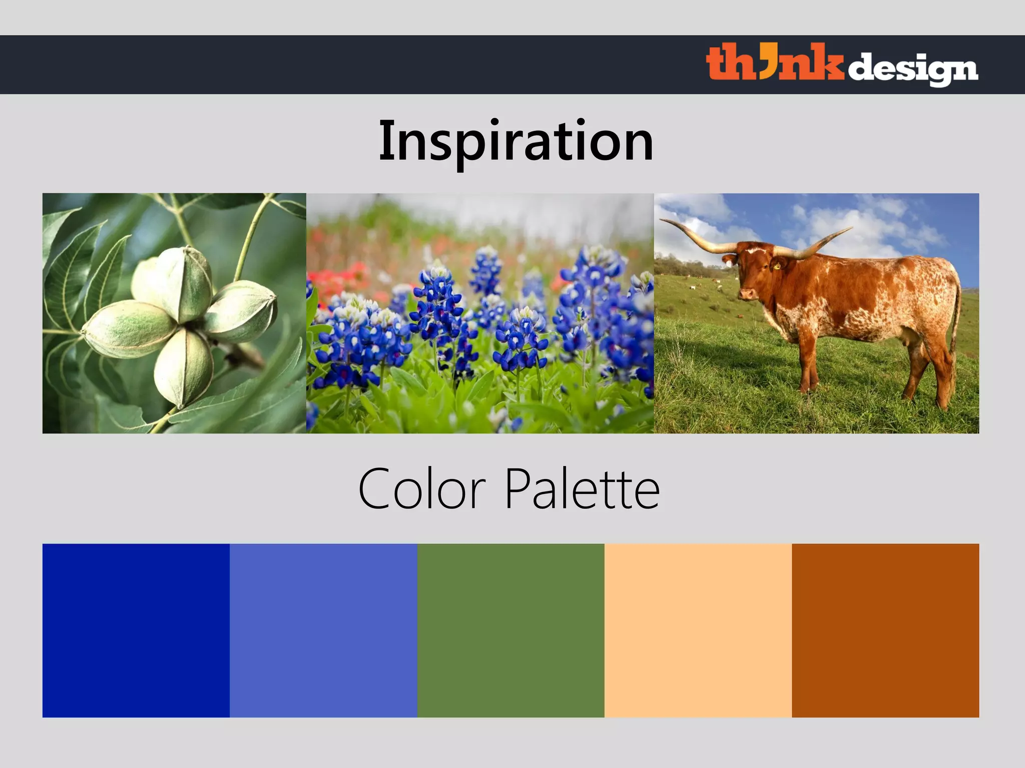Color Palette
Inspiration
 