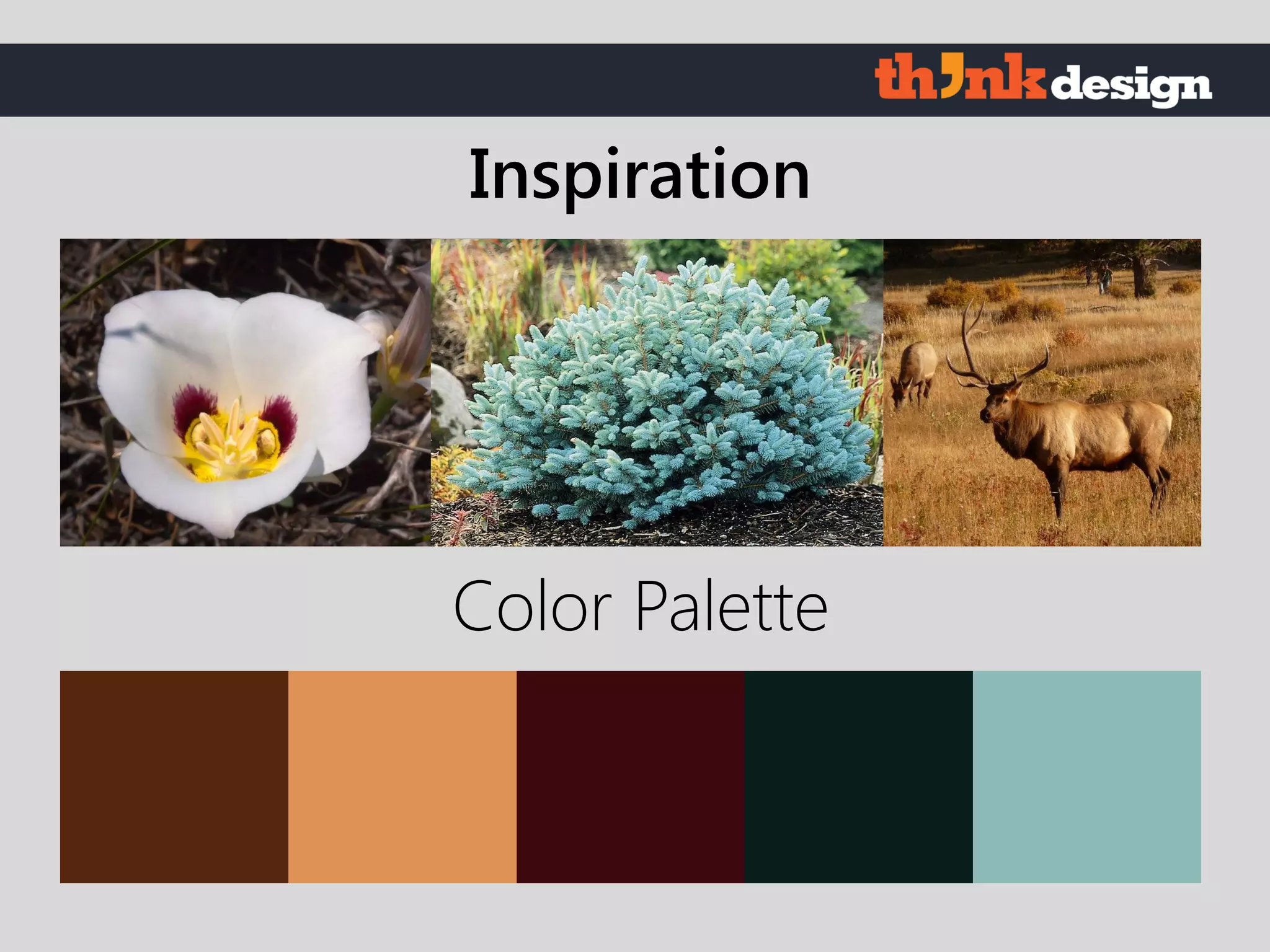 Color Palette
Inspiration
 
