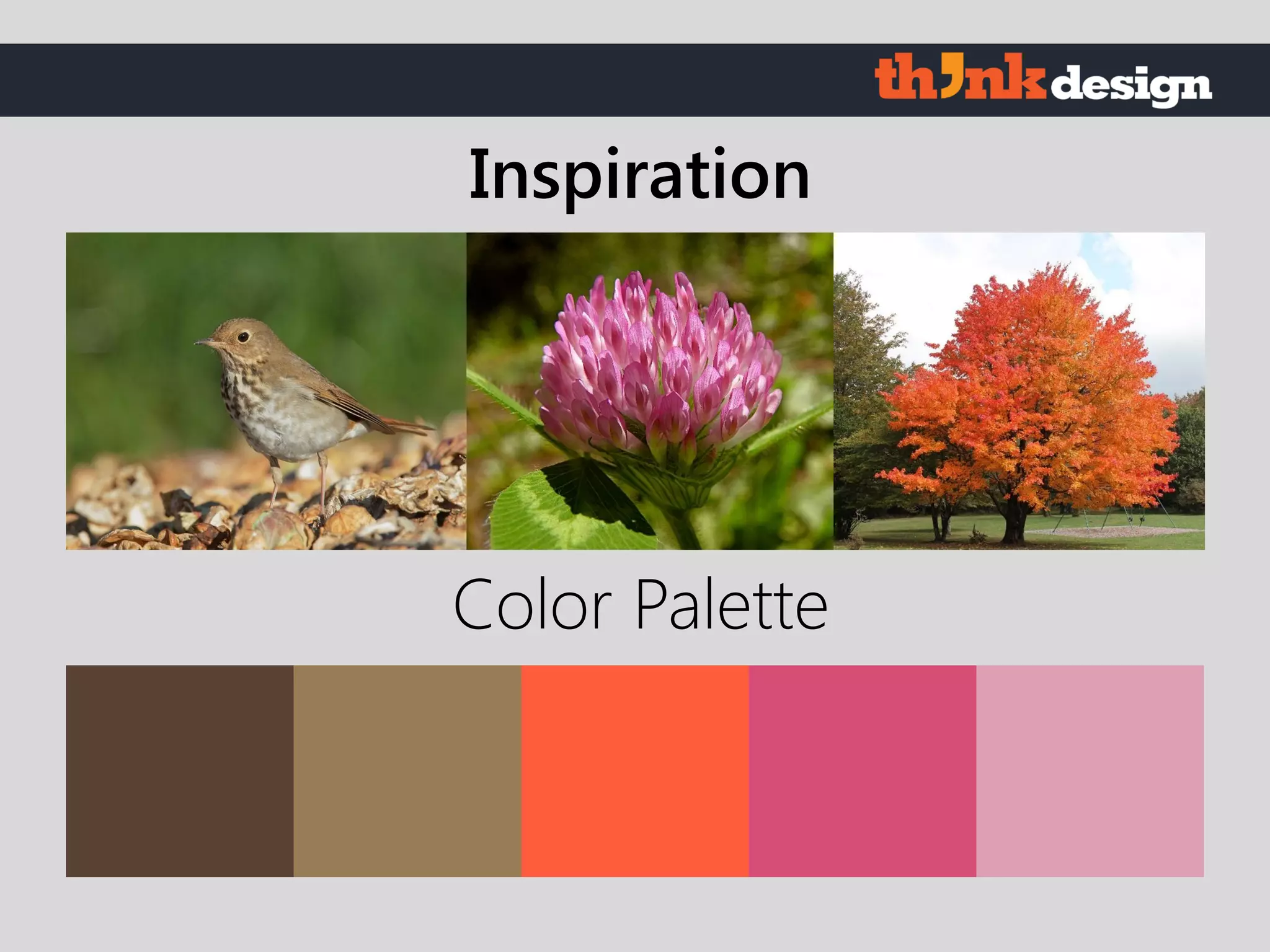 Color Palette
Inspiration
 