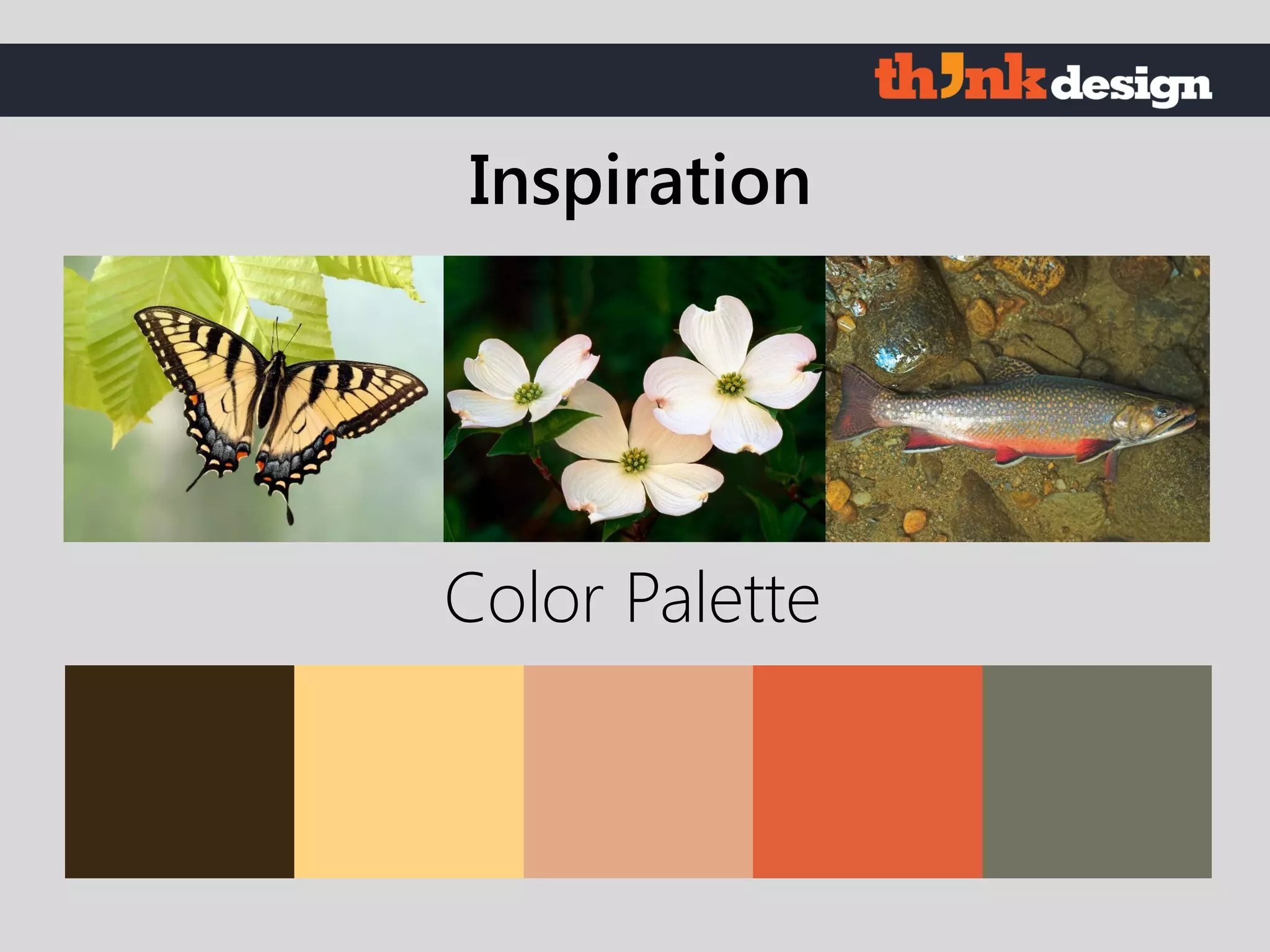 Color Palette
Inspiration
 