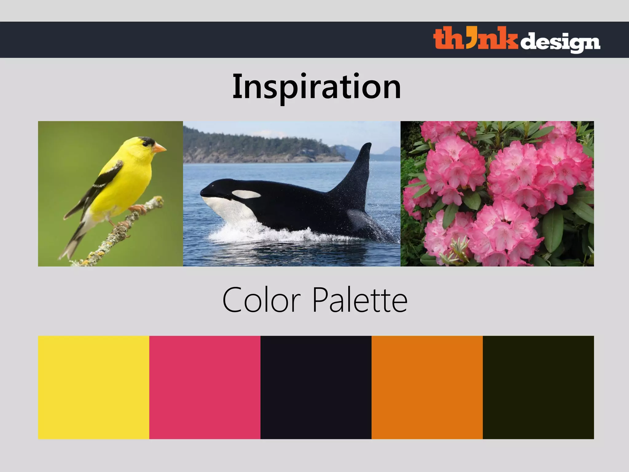 Color Palette
Inspiration
 