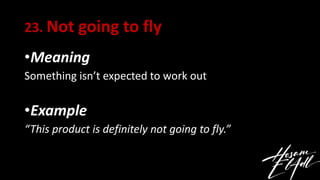 23. Not going to fly
•Meaning
Something isn’t expected to work out
•Example
“This product is definitely not going to fly.”
 