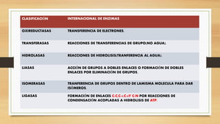 CLASIFICACIÓN INTERNACIONAL DE ENZIMAS
OXIREDUCTASAS TRANSFERENCIA DE ELECTRONES.
TRANSFERASAS REACCIONES DE TRANSFERENCIAS DE GRUPO(NO AGUA).
HIDROLASAS REACCIONES DE HIDROLISIS(TRANFERENCIA AL AGUA).
LIASAS ACCIÓN DE GRUPOS A DOBLES ENLACES O FORMACIÓN DE DOBLES
ENLACES POR ELIMINACIÓN DE GRUPOS.
ISOMERASAS TRANFERENCIA DE GRUPOS DENTRO DE LAMISMA MOLECULA PARA DAR
ISÓMEROS.
LIGASAS FORMACIÓN DE ENLACES C-C,C-5,C-0Y C-N POR REACCIONES DE
CONDENSACIÓN ACOPLADAS A HIDROLISIS DE ATP.
 